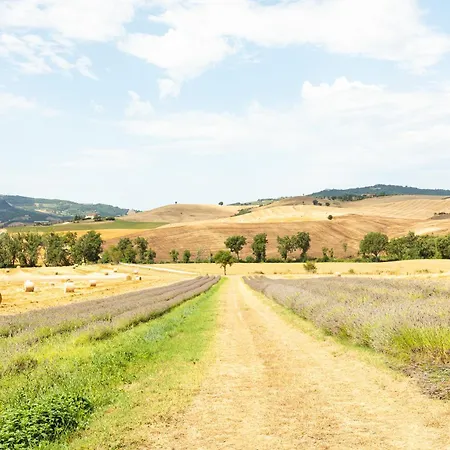 Selvoli - Il Bruco